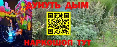 мяу мяу мука Будённовск