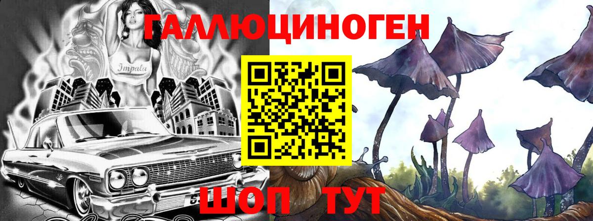 Псилоцибиновые грибы GOLDEN TEACHER Саяногорск