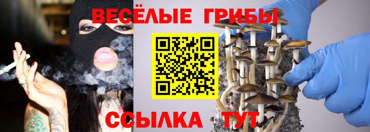 Саяногорск  Галлюциногенные грибы Magic Shrooms  как найти закладки  Вход с VPN 